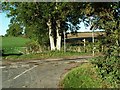 Bridleway to Martinstown