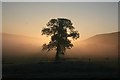 NZ6010 : Sunrise, Lonsdale by Mick Garratt