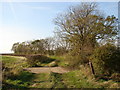 Public Footpath near Saxby