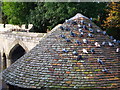 The roof of Barker Tower and the City Walls, York