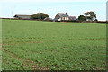 Newton St Petrock: towards Coombe Farm