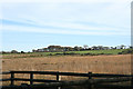 Newton St Petrock: Doves Moor