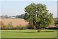 School Playing Fields