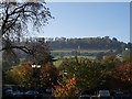 Rodborough Hill from Waitrose