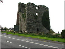 S7229 : Mountgarret Castle overlooking New Ross by liam murphy