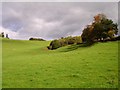 Pasture near Aberbechan Hall