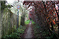 Narrow Lane, Stathern