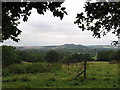 Alderbury - Pastureland between Village & Church