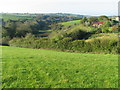 River Dalch valley at Lewdon Farm