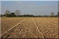 Stubble field near Offton