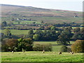 The valley of the River South Tyne