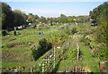 Northchurch: Allotments off New Road