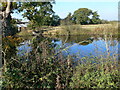 Farm pond at Top House