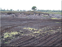 N6528 : Peat bog near Derries, Co Offaly by Jonathan Billinger