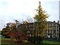 Trees in Botanic Gardens