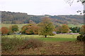 Towards Eyam View Farm