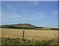 Farmland, looking towards Hill of Tillymorgan