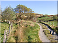 Track to Nant-y-nod