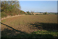 Farmland near Saltby