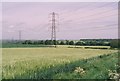 Wilson - Cornfields and Pylons