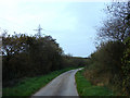 Country road north-west of Holsworthy (1)