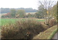 Fields and trees by Hitcham / Brettenham lane