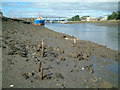 O1075 : Intertidal zone, River Boyne, Drogheda by Kieran Campbell