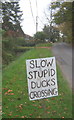 Ducks crossing sign, Brettenham