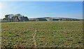 Fields and farm buildings in Backburn area