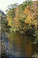 Upstream view of the River Lossie from Bow Brig