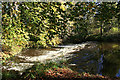 Weir to the east of the Bow Brig