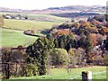 View from the Murray-Dunlop Monument, Corsock, looking East