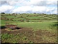 Powys patchwork