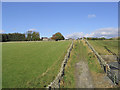 Access track to Caddonlee Farm