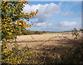 TM0957 : Looking across fields beside Low Lane, near Creeting St Mary by Andrew Hill