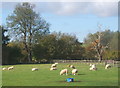 Grazing land close to Woolney Hall