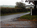 Holsworthy road near Thorndon