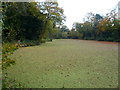 Lake near Tapton Grove