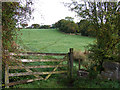 Grazing Land, near Stockton Brook, Staffordshire