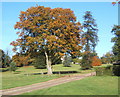 Part of driveway to the Hall in Shrubland Park