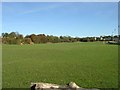 Horsfall Playing Fields - Cemetery Road