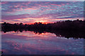 SK9368 : Swanholme Lakes Sunset by John Bennett