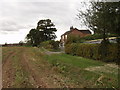 Back Lane Cottage