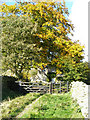 Bridleway between Motherby and Greystoke