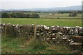 Wall Near Greenhead