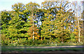 Autumn colours near Silverstone