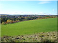 Holmebrook Valley Park - Holme Hall Estate View