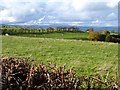 Ridge south of Graig