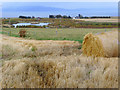 Near Tarrel, Tarbat peninsula