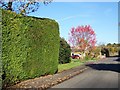 Harvest Lane, Bishopstone